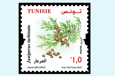 Plants of Tunisia