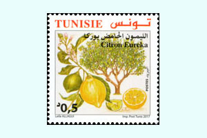 Espces d'Agrumes de Tunisie: Le Citron Amer Eureka