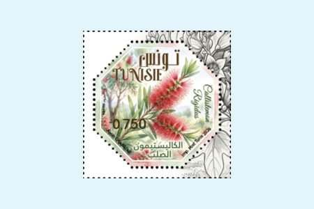 Plantes ornementales � Jardin botanique de Tunis