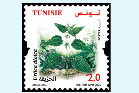 Plants of Tunisia