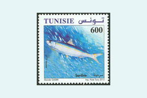 Fishes Of Tunisia : Sardine