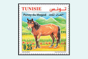Animals in danger of extinction in Tunisia : The Mogod Poney