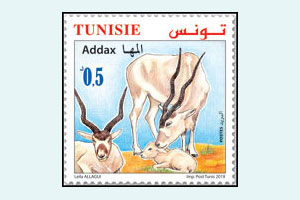 Animals in danger of extinction in Tunisia : The Addax