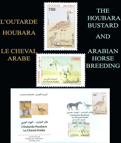 طائر الحبارى وتربية الجواد العربي