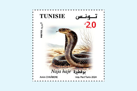 Animals in danger of extinction in Tunisia