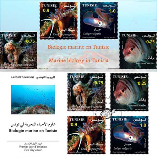 علوم الأحياء البحرية في تونس