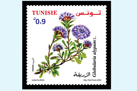 PLANTS OF TUNISIA